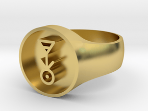 Owl House Plant Glyph Ring (Large) in Polished Brass: 5 / 49