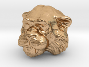 Cringer Head to put on Origins Battle Cat in Polished Bronze