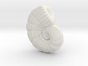 Peneroplis Foraminifera Model 5 cm in White Natural Versatile Plastic