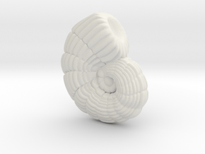 Peneroplis Foraminifera Model 4 cm in White Natural Versatile Plastic