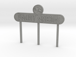 Modern Dino Arena Sign in Gray PA12