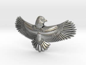Eagle_flight-LR in Natural Silver