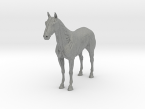 Horse_Equine Anatomy Figure in Gray PA12