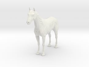 Horse_Equine Anatomy Figure in White Natural Versatile Plastic