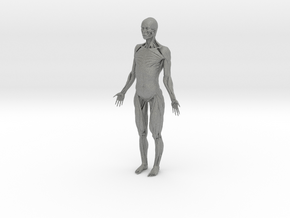 Female Ecorshe_Anatomy Figure in Gray PA12