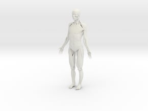 Female Ecorshe_Anatomy Figure in White Natural Versatile Plastic