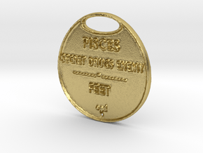 PISCES-A3D-COINS- in Natural Brass