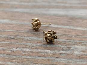Echeveria Succulent Earrings in Natural Brass