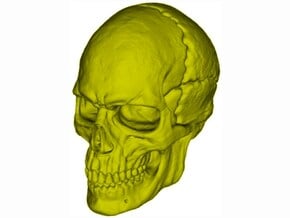 1/9 scale human skull miniature x 1 in Tan Fine Detail Plastic