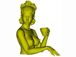 1/9 scale sexy topless girl with cup bust in Clear Ultra Fine Detail Plastic