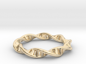 DNA Double Helix Plasmid Ring in 14K Yellow Gold: 4.5 / 47.75