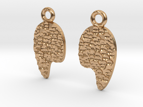Hammered style earrings in Polished Bronze