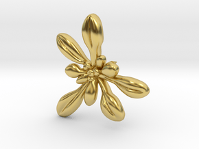 Arabidopsis Lapel Pin -Science Jewelry in Polished Brass