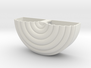 Coiled_wall_planter in White Natural Versatile Plastic