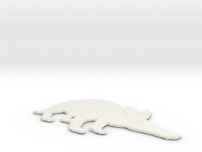 aadvark in White Natural Versatile Plastic