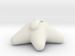 zany face in White Natural Versatile Plastic