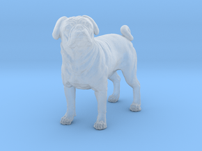 Pug 1:25 Standing Male in Smooth Fine Detail Plastic