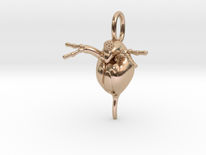 Daphnia Water Flea Pendant in 14k Rose Gold Plated Brass
