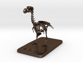 DODOISMe skeleton  in Polished Bronze Steel