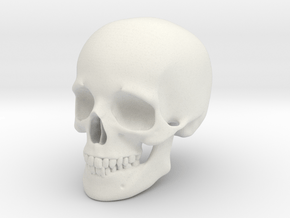 Skull For your desktop in White Natural Versatile Plastic