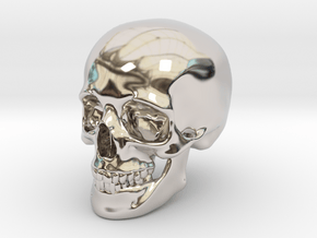 Skull For your desktop in Rhodium Plated Brass