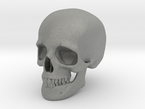 Skull For your desktop in Gray PA12