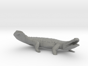 HO Scale Crocodile in Gray PA12