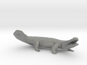 O Scale Crocodile in Gray PA12