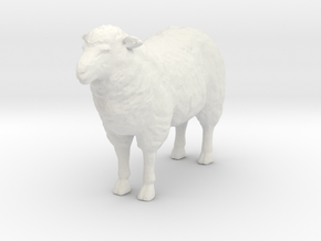 HO Scale Sheep in White Natural Versatile Plastic
