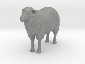 S Scale Sheep in Gray PA12