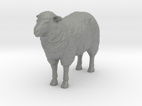 O Scale Sheep in Gray PA12
