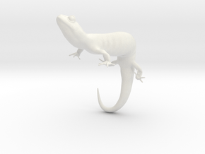 Salamander 6.4cm in White Natural Versatile Plastic