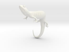 Salamander 6.4cm in White Natural Versatile Plastic