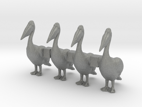 S Scale Pelican in Gray PA12