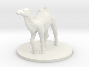 Camel walking in White Natural Versatile Plastic