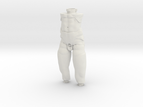 boy-manikin- torso (mix gen boy) (1st gen boy) in White Natural Versatile Plastic