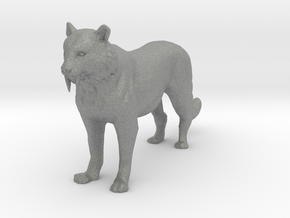 HO Scale Saber Tooth Tiger in Gray PA12