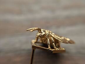 Honey Bee Hex Earrings in Natural Brass