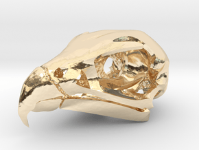 Peregrine Falcon Skull Pendant in 14k Gold Plated Brass