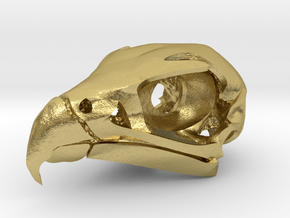 Peregrine Falcon Skull Pendant in Natural Brass