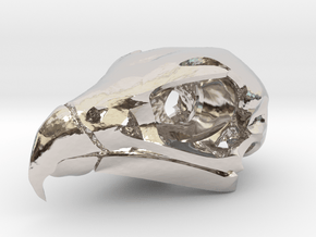 Peregrine Falcon Skull Pendant in Rhodium Plated Brass