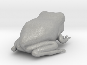 Eastern Gray Tree Frog in Aluminum