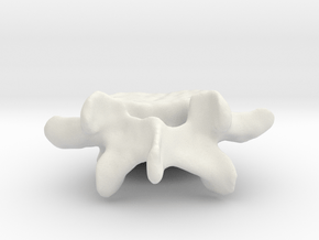 5th Lumbar Vertebra in White Natural Versatile Plastic