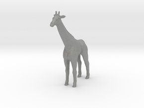S Scale Giraffe in Gray PA12