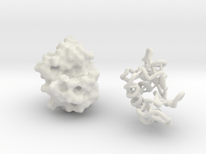 Lysozyme 50 mill X - ribbon and molecular surface in White Natural Versatile Plastic