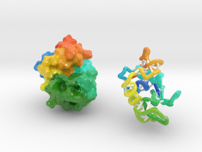 Lysozyme 50 mill X - ribbon and molecular surface in Glossy Full Color Sandstone