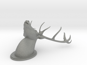 Printable Wall Decorative Antler in Gray PA12