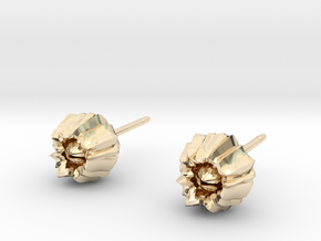 Barnacle Earrings - Nature Jewelry in 14K Yellow Gold