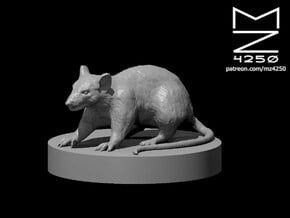 Giant Rat in White Natural Versatile Plastic