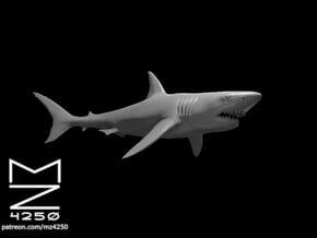 Giant Shark in White Natural Versatile Plastic